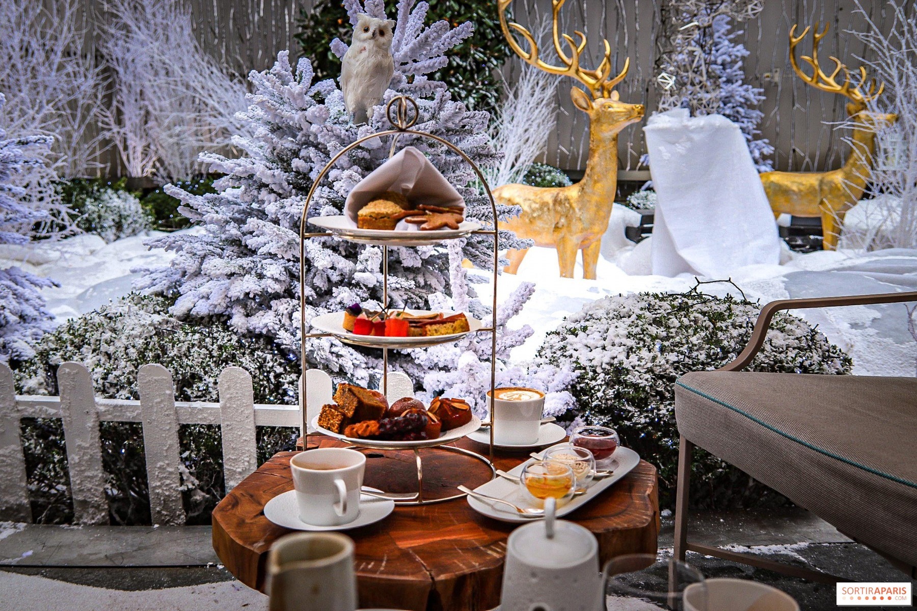 croquines reception en hiver